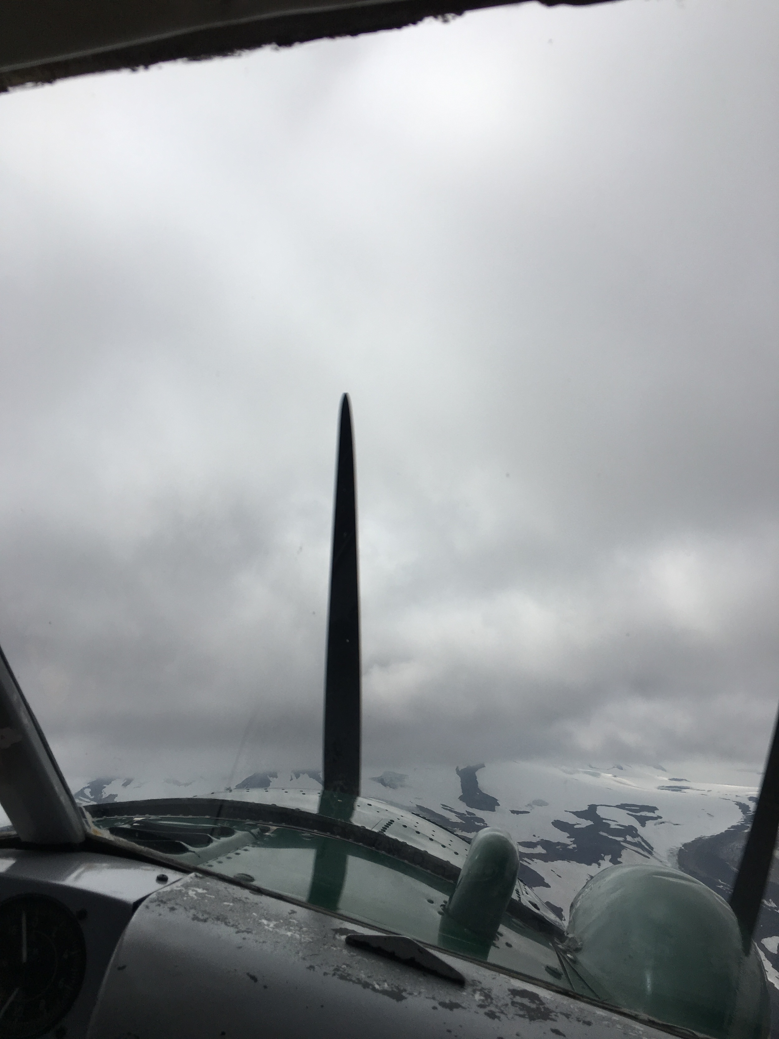 Trust Your Pilot