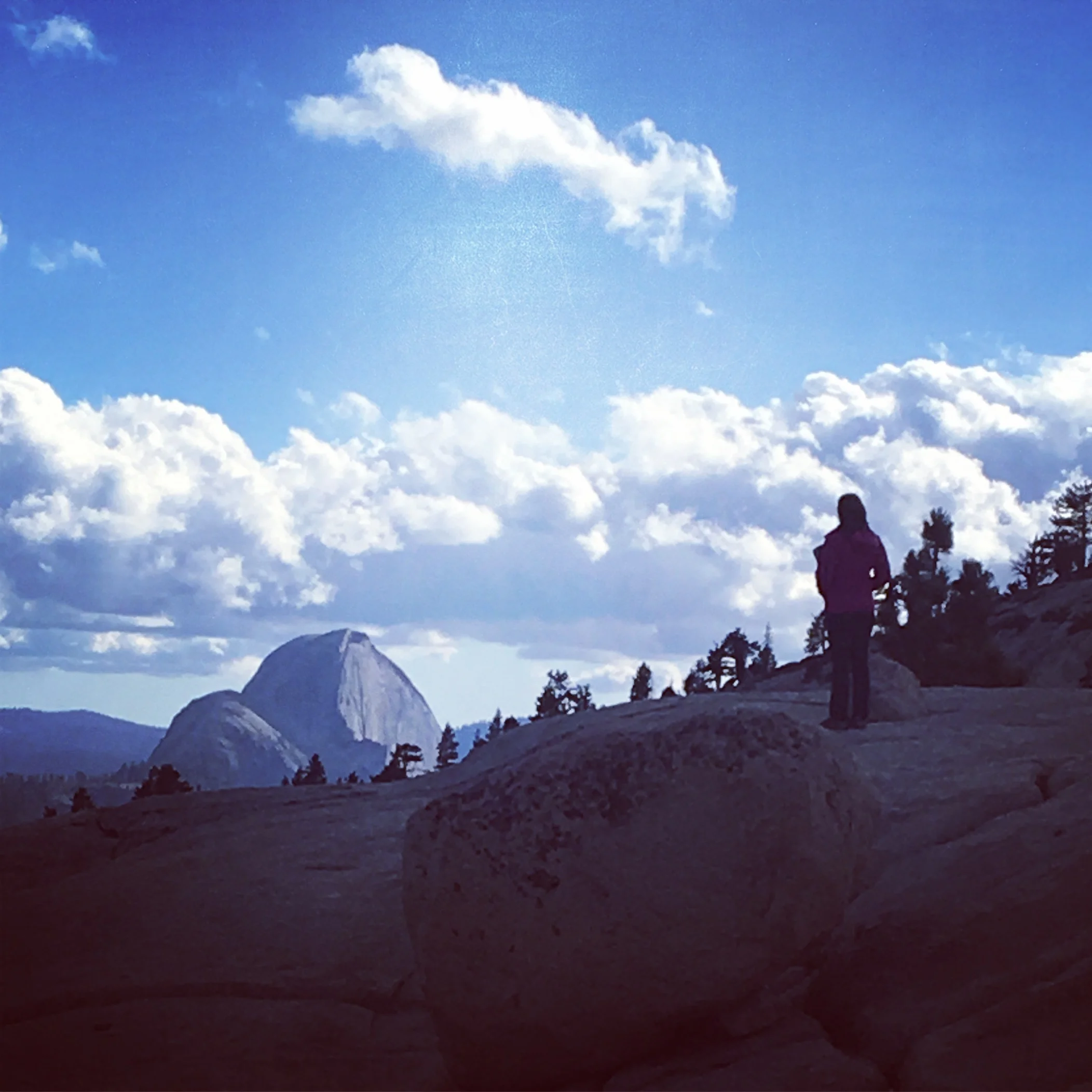Half Dome as seen from Olmsted Point