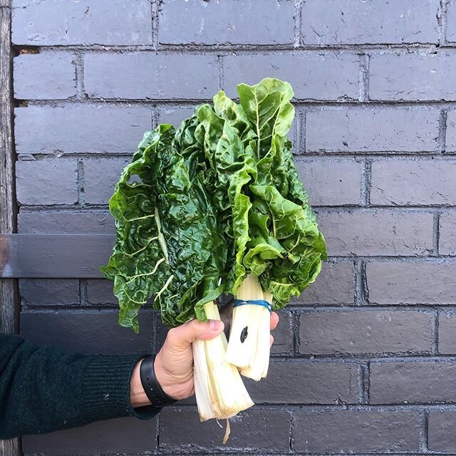 Happy Mother&rsquo;s Day we hope you all have an amazing day, come on in and get your mum a coffee to start off her day☕️🌻... obsessed with our silverbeet that we just got in 🤤