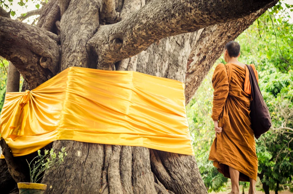 The Bodhi Tree is the most sacred site of
the Mahabodhi Temple Complex. It was under this sacred fig tree that Buddha
attained his enlightenment.