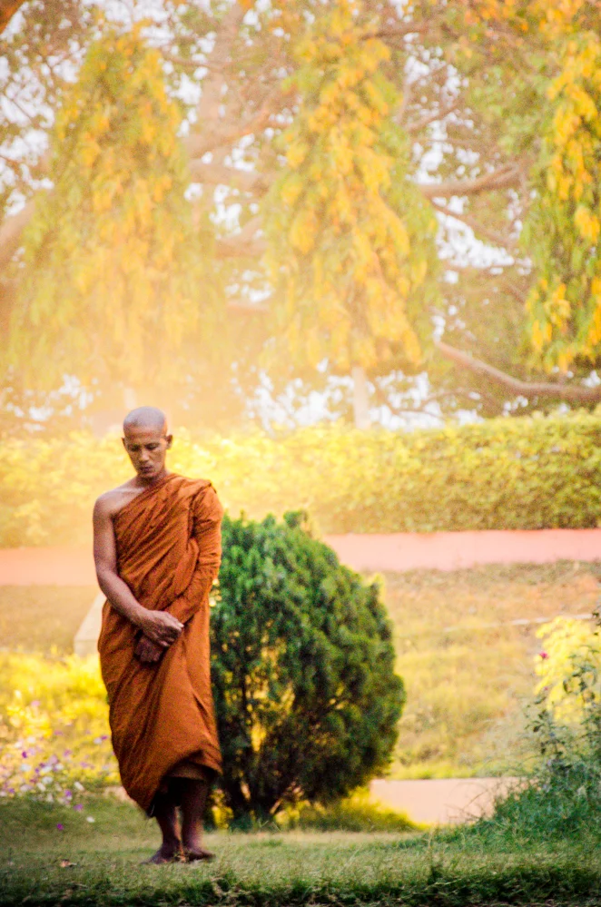 According to the legend, lotus flowers
sprung up along the Buddha's feet as he meditated while walking back and forth
between the Animeshlocha Stupa and the Bodhi tree. This walk is now known as
the Ranachakarma or the Jewel Walk.