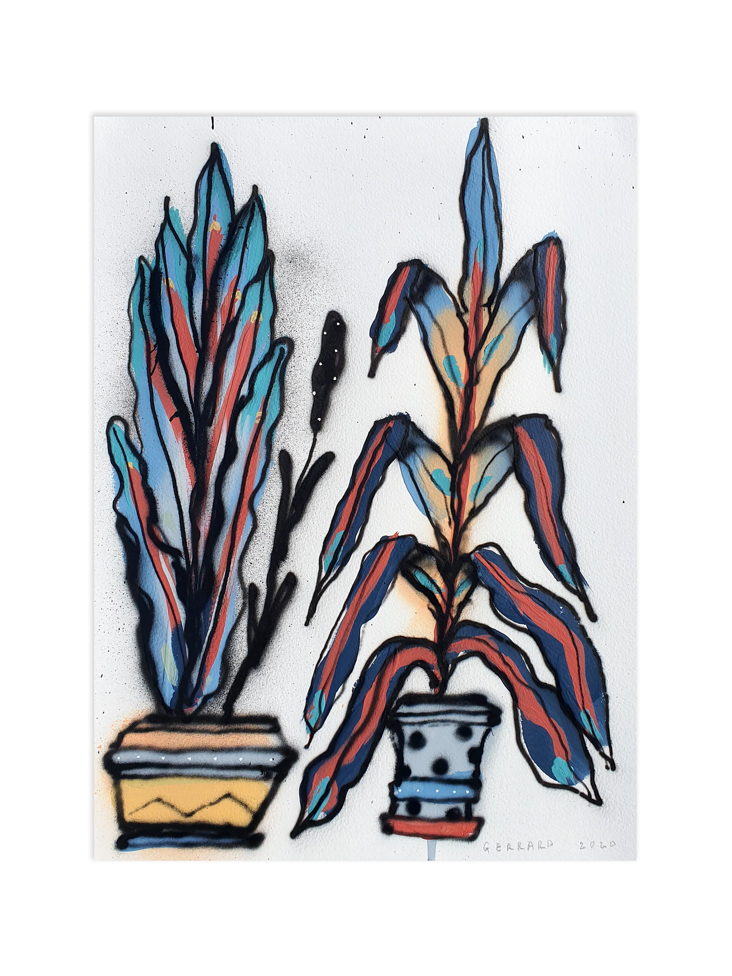 tom-gerrard-pot-plants.jpg