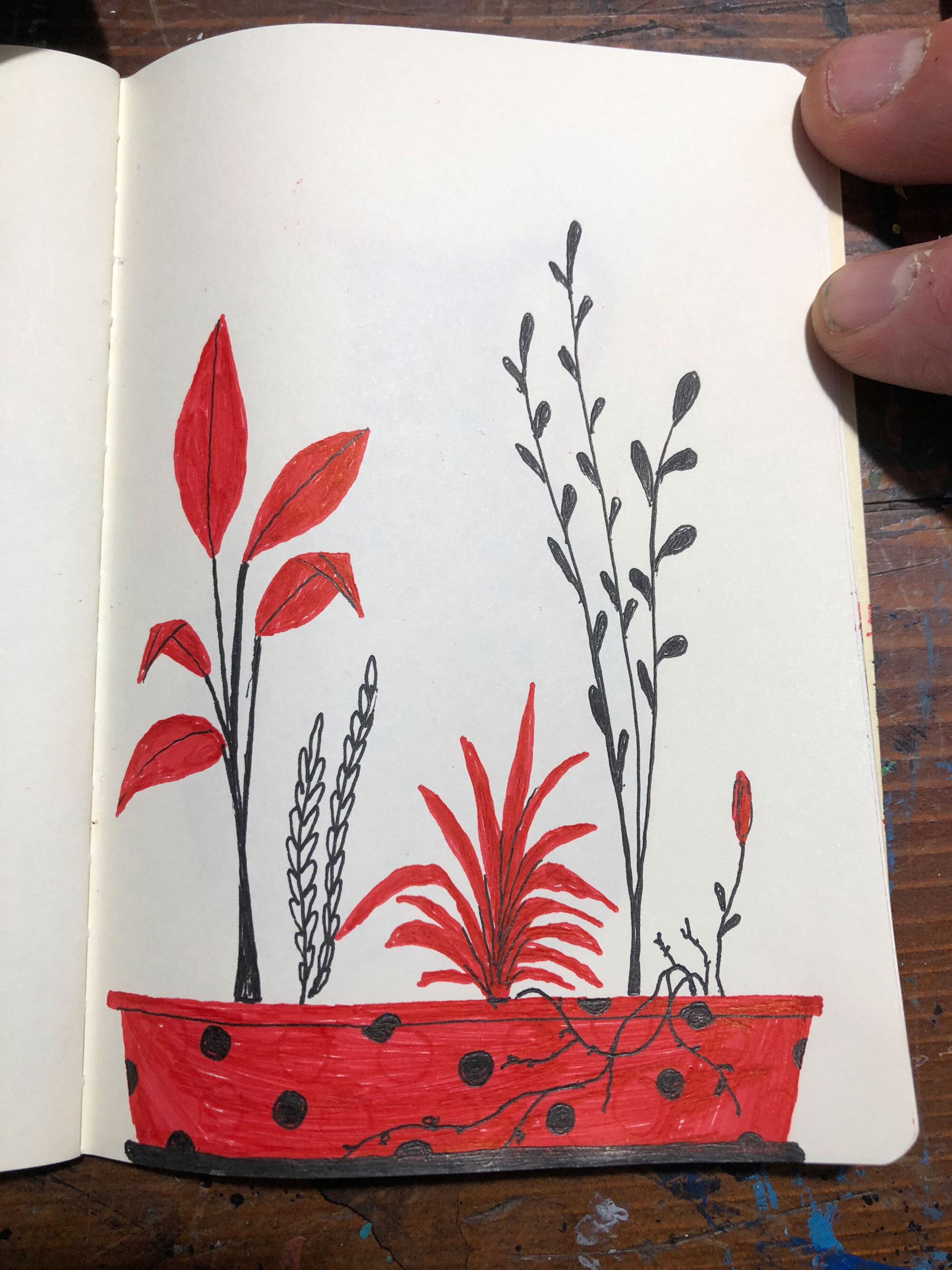 tom-gerrard-red-book8.jpg