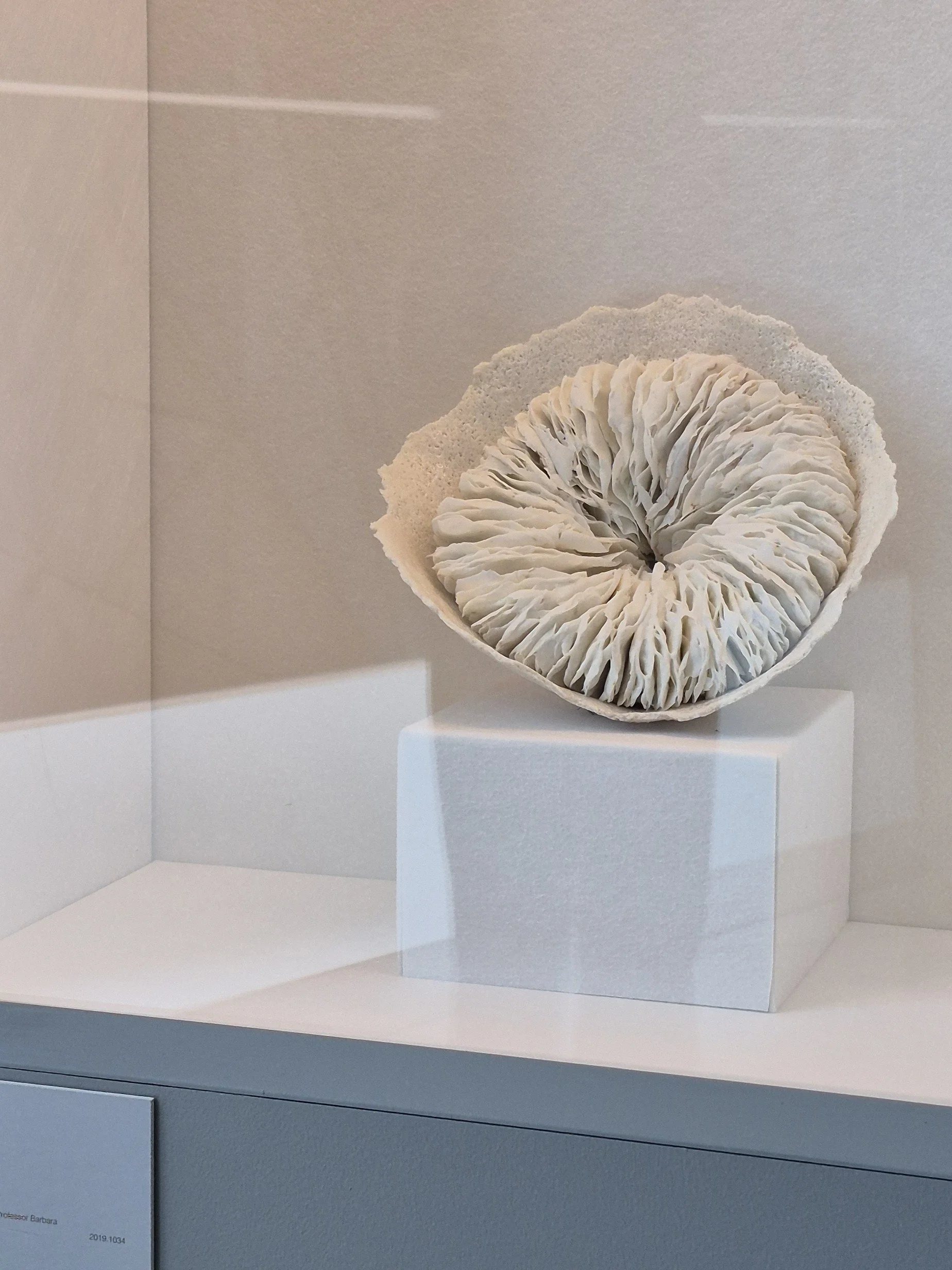 20251231_104843 - Copyb.jpg