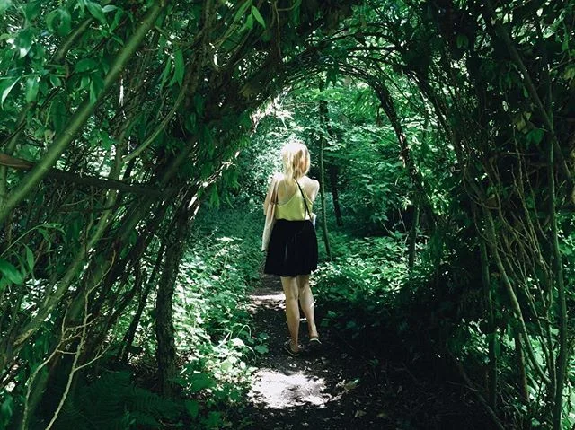 Getting lost in the green ๐ฑ๐๐๐ฟ #citygarden #Amsterdam #wanderlust #inspiration #clearthemind #creative #creativeprocess #filmmaker #filmmaking #womeninfilm #producing #featurefilm #WILLIAM #indiefilm #cinematography #forest #instaphoto #suncat #suncatproductions ๐ธ @eefiesmid