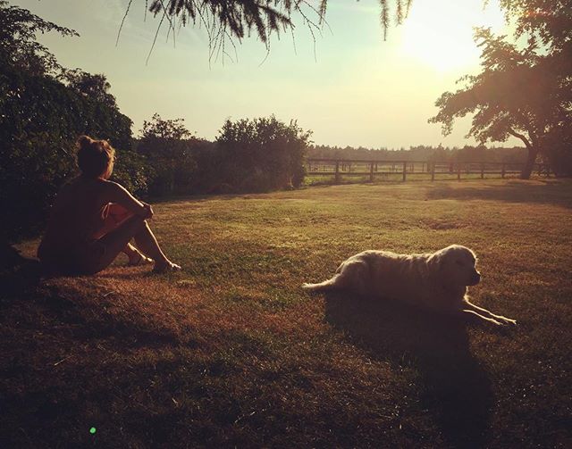 Summer vibes ๐ฑโ๏ธ๐๐พ #goldenretriever #friends #traveling #wanderlust #view #nature #inspiration #creativeminds ๐ธ @anneaafke ๐๐ผ๐