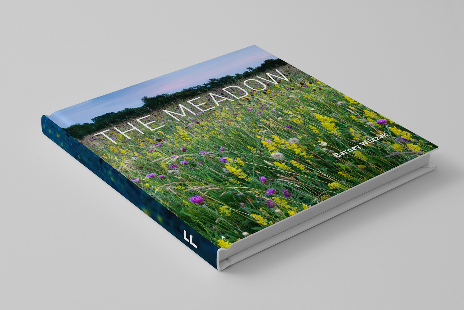 Disappearing meadows