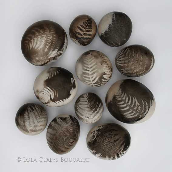 LCB pebbles ferns c.gif