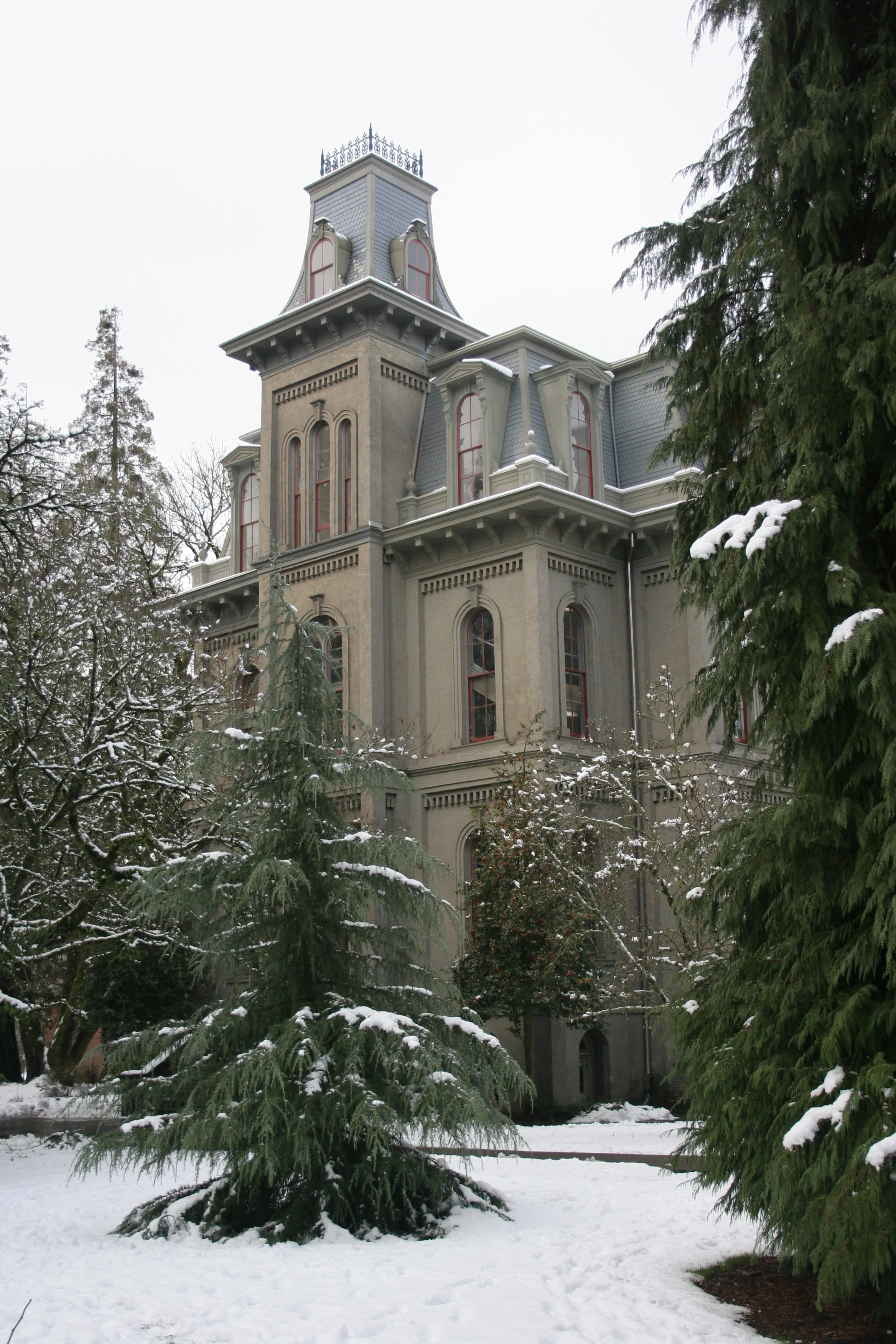 U of O Snow 01-28-2008 097.jpg