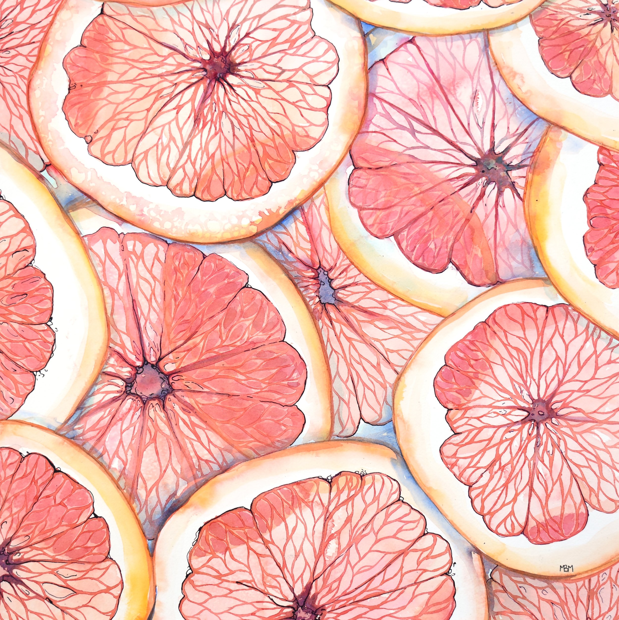 grapefruiteslices.300.jpg