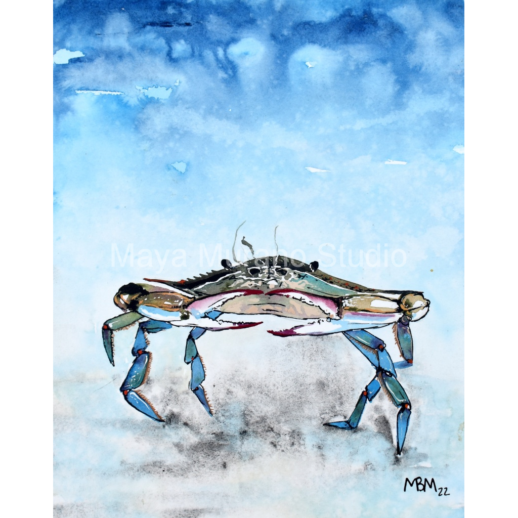 image_original_3806670d30ec07b623f2aa9e5b97acd4.png
