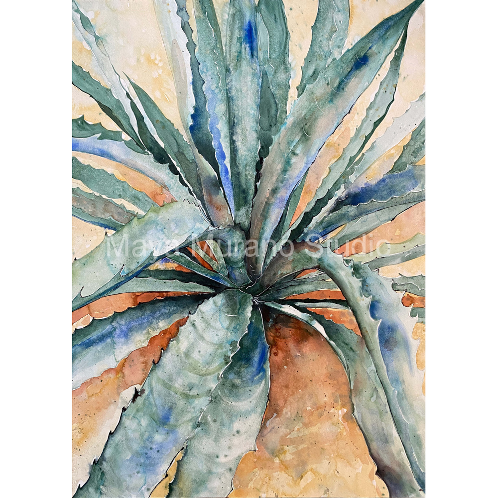 Aloe Vera Print  Maya Murano Studio