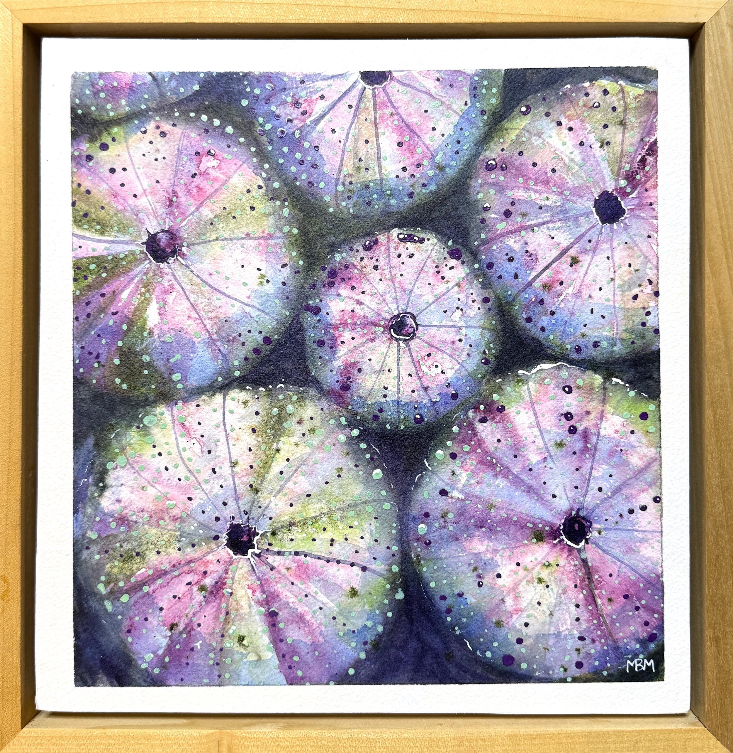 Sea Urchin with Purple 11x11