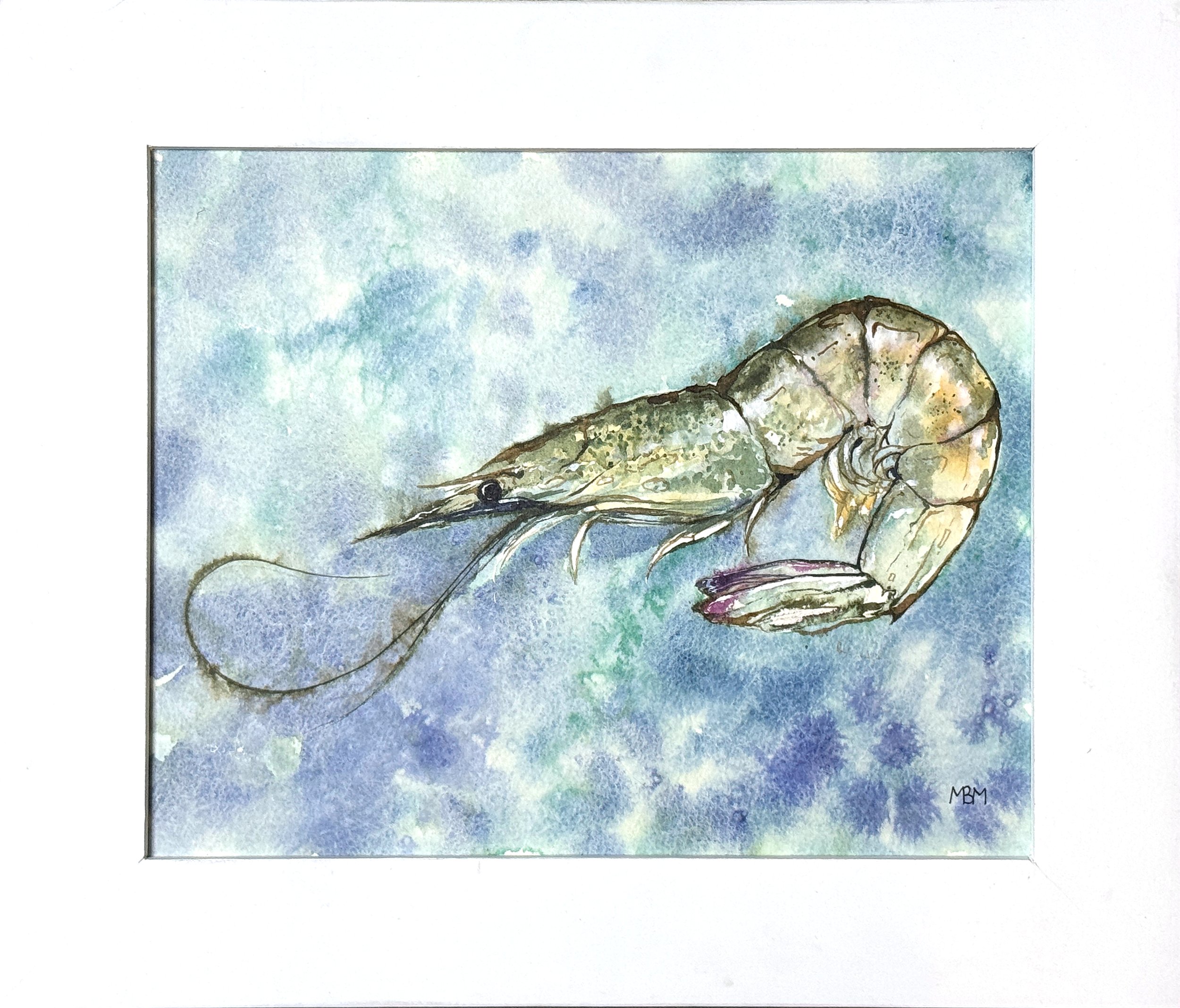 Mini Shrimp #3 11x13