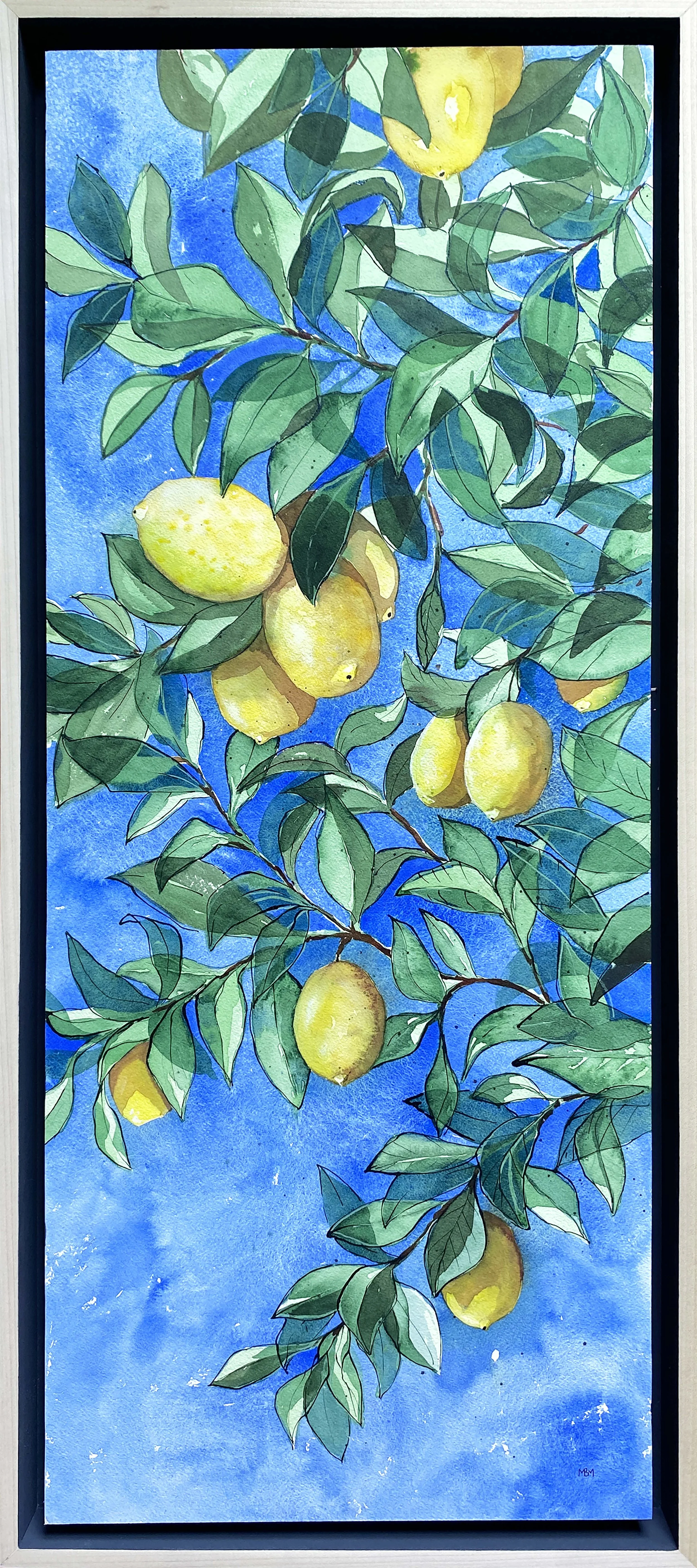 lemontreewithframe copy.jpg