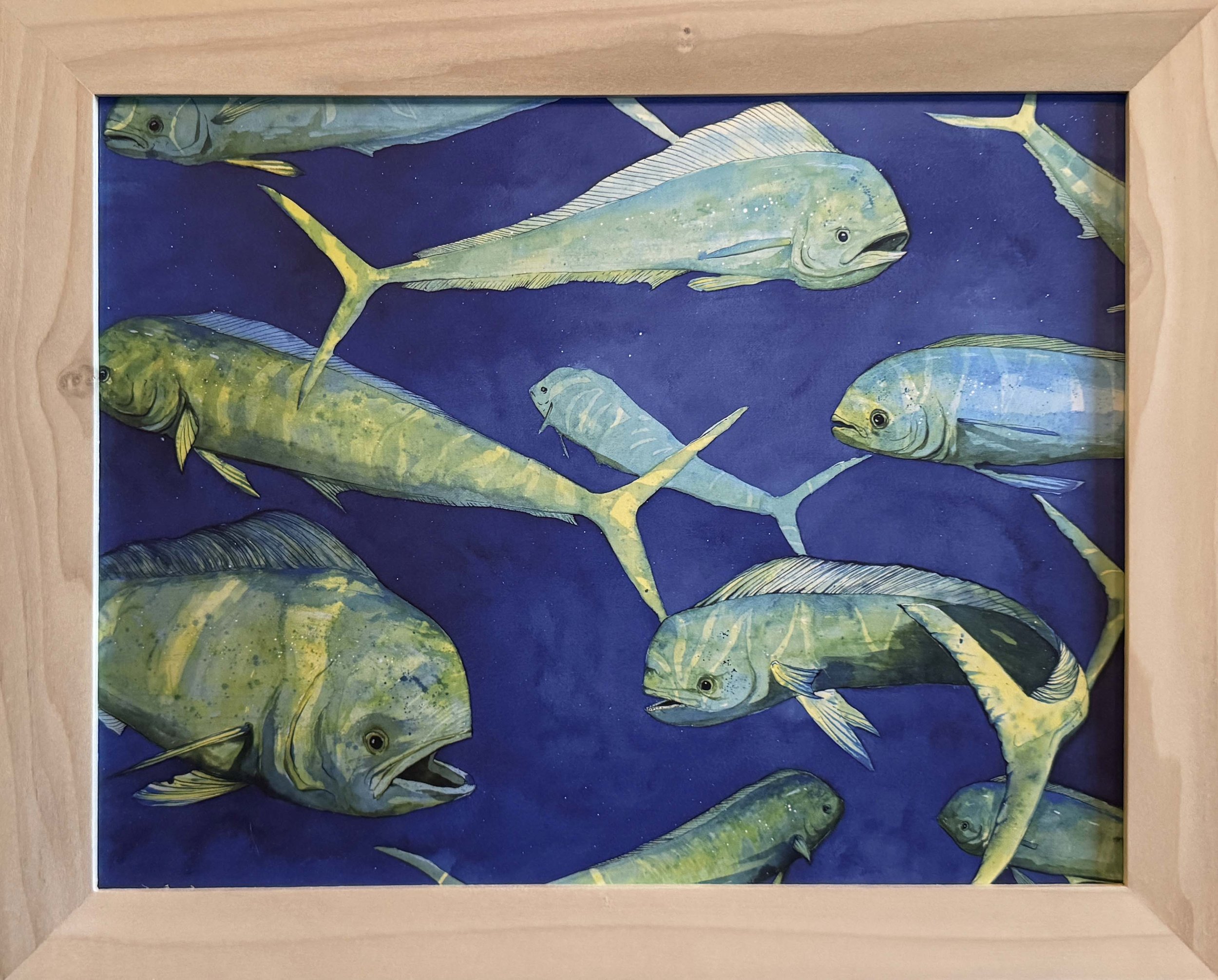 Mahi Mahi 11x14 Print