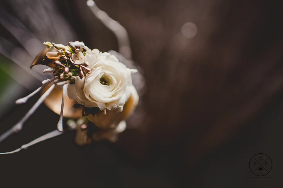 pat-robinson-photography-2-40.jpg