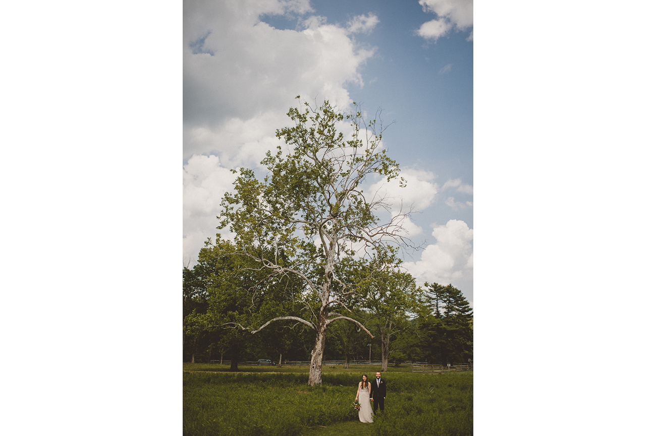 pat-robinson-photography-bowmans-wildflower-preserve-wedding-48.jpg