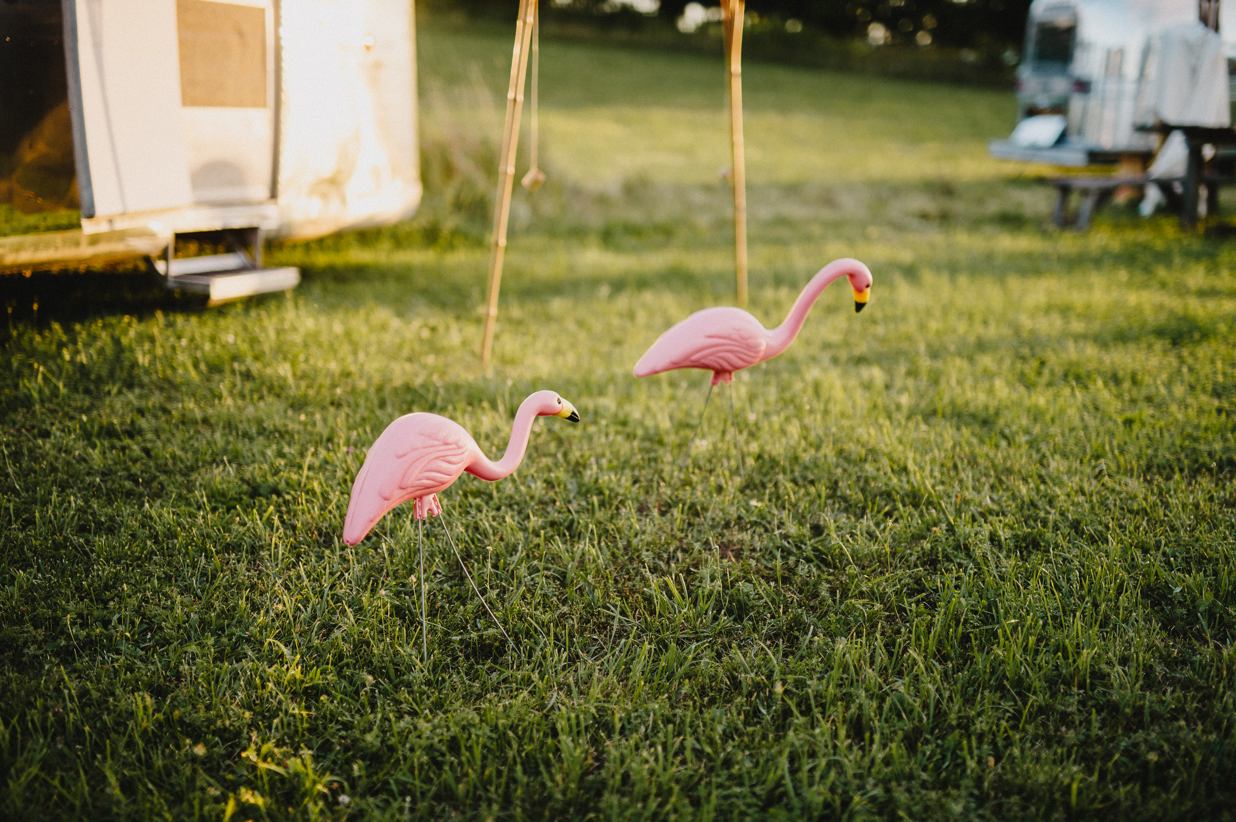 Pioneer-farms-warwick-new-york-wedding-photographer093.jpg