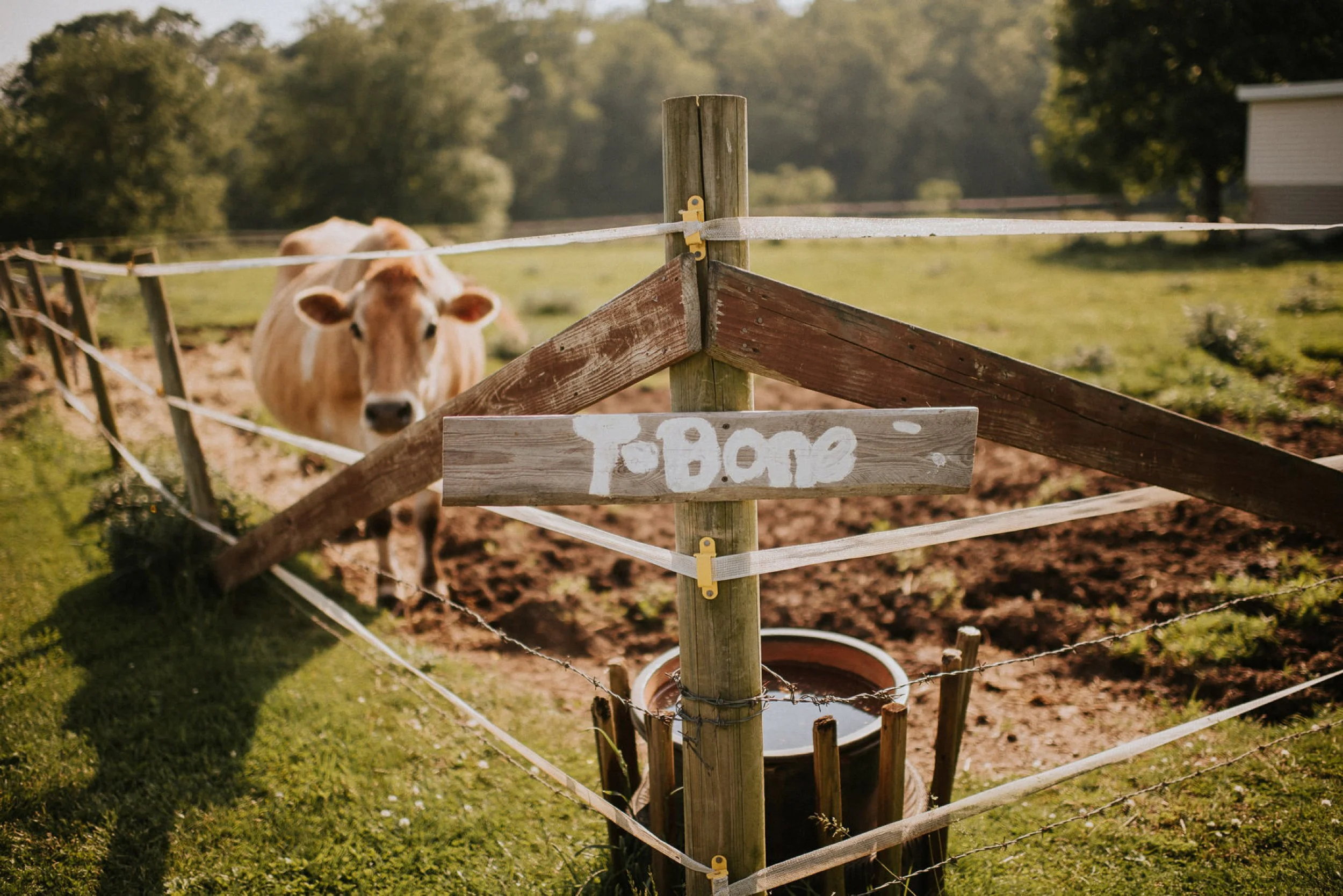 inn-at-fernbrook-farms-wedding-photography-71.jpg