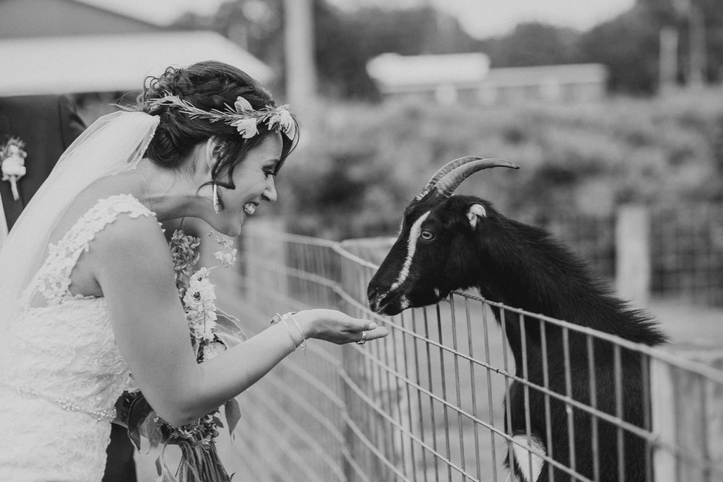 milburn_farms-wedding-87.jpg