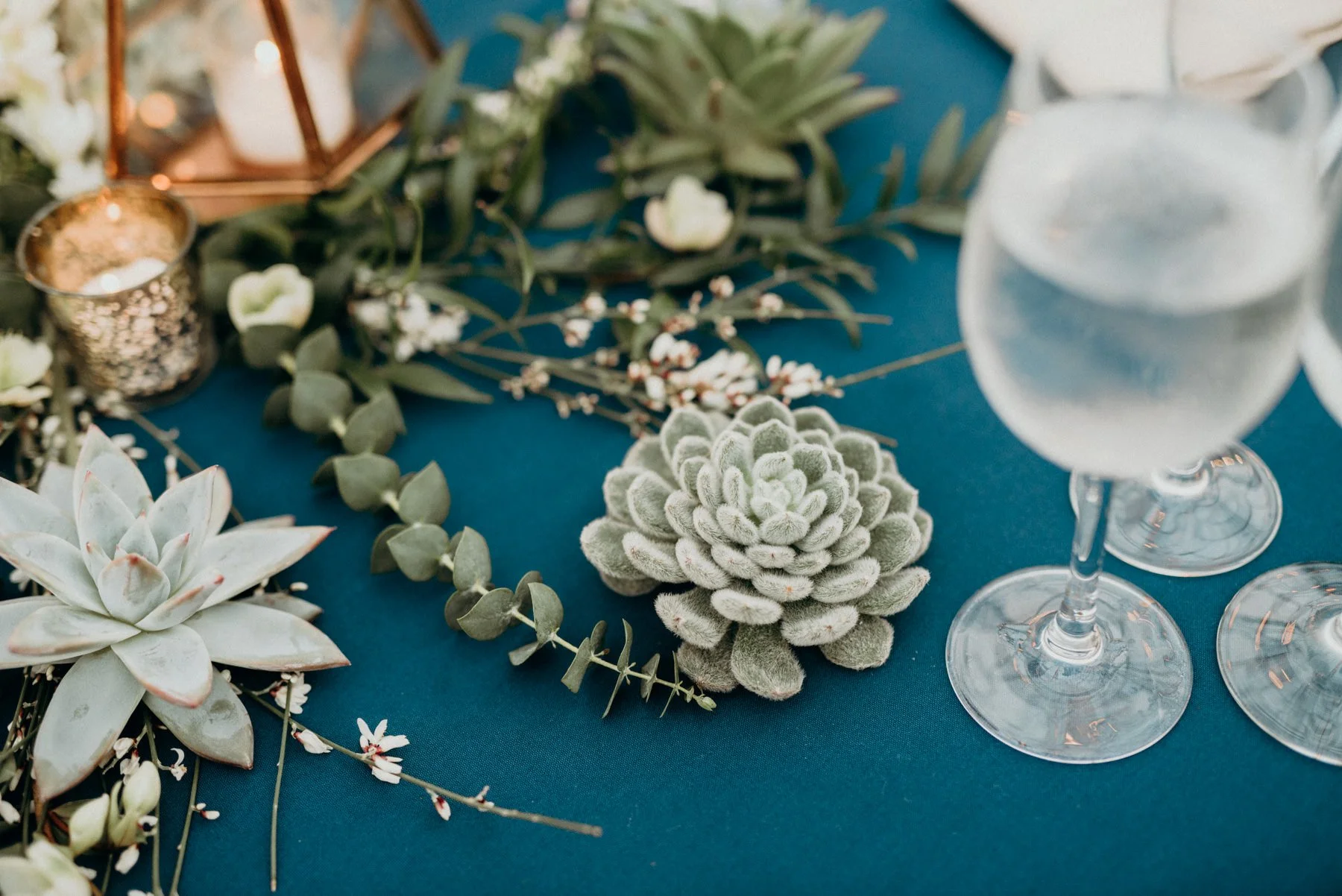 philadelphia-horticultural-society-wedding-74.jpg