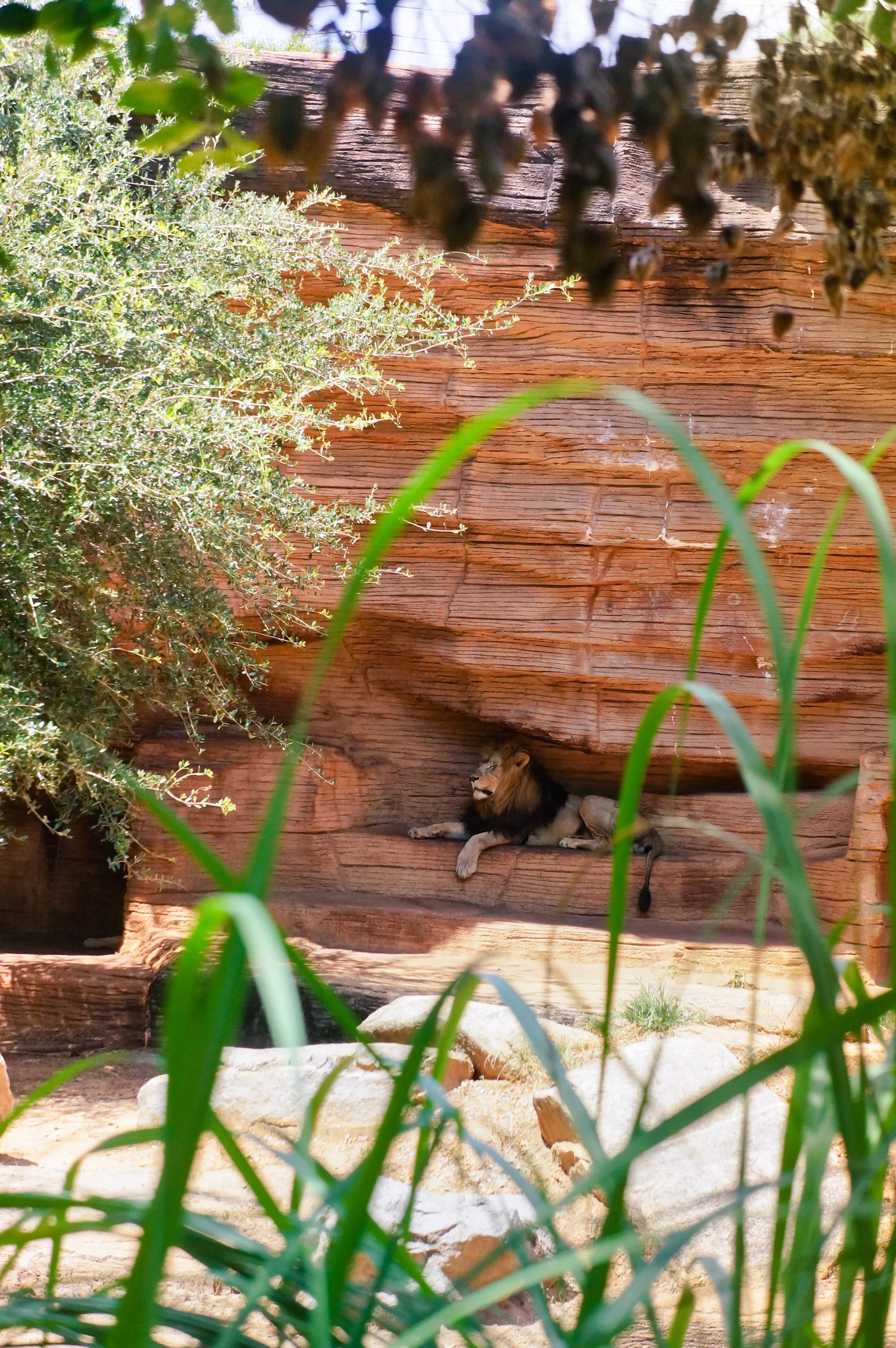 Riverbanks-04590.jpg