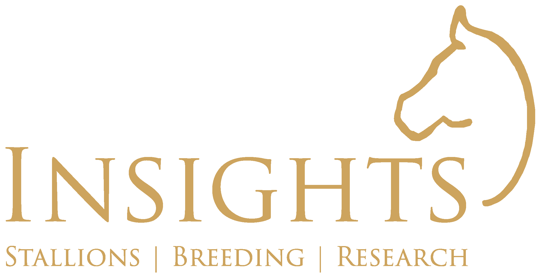 Insights logo GOLD-01.png