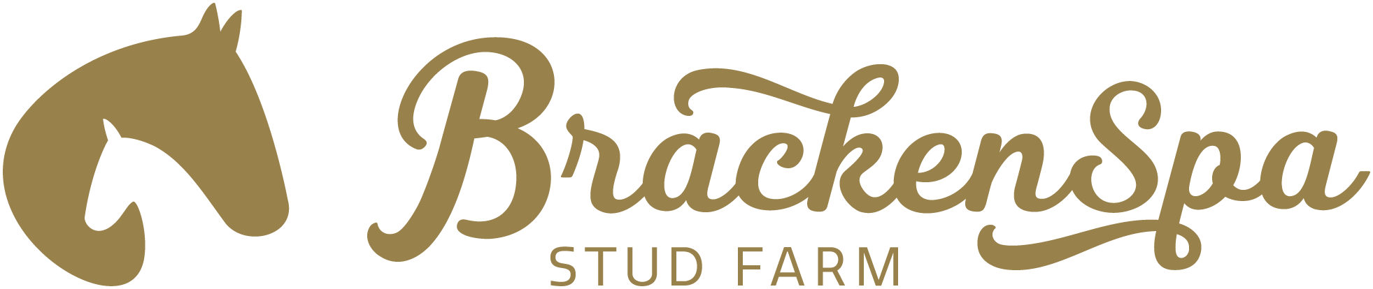 brackenspa logo.png