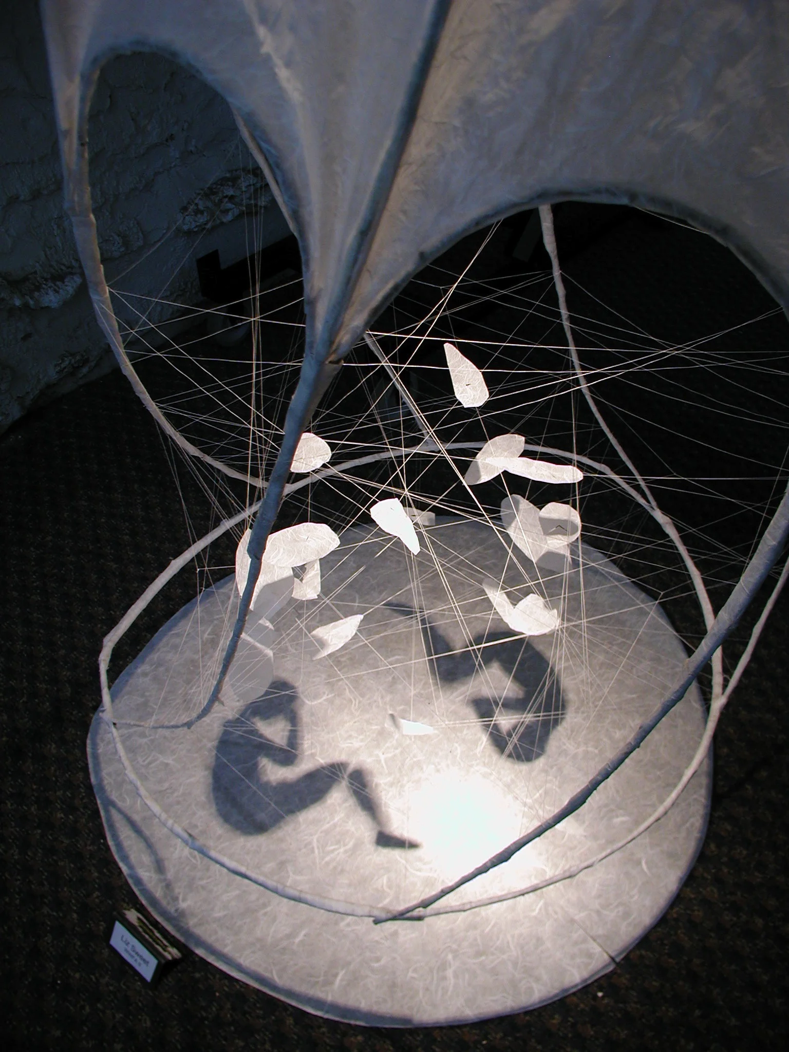 P1010023.JPG