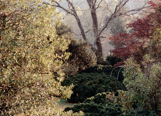 Early a.m. Virginia