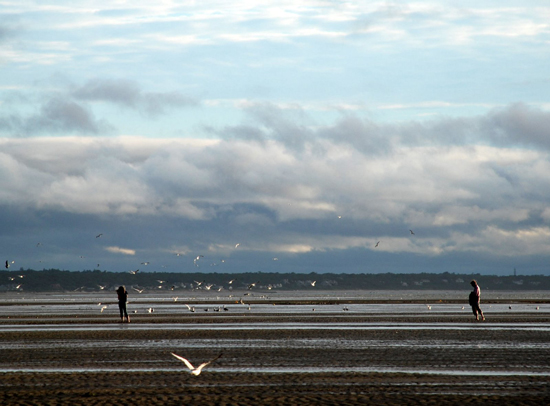 Couple with Birds