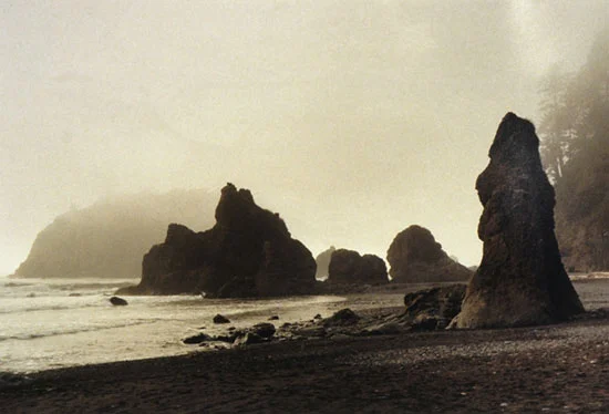 Sepia Rocks