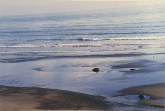 Waves