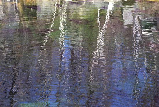 Birch Tree Reflections