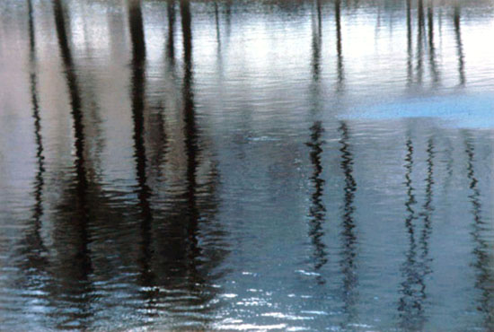 Blue Ripple Tree Reflections