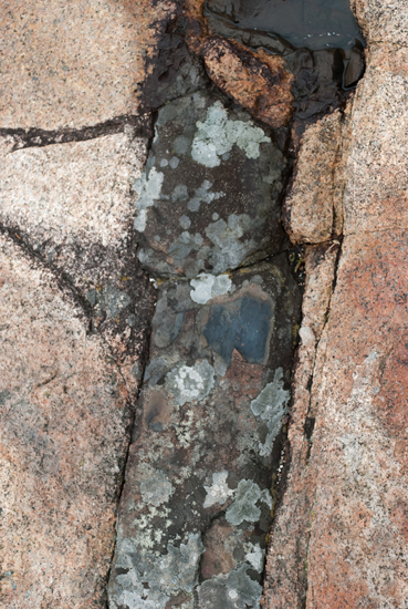 Pink Granite with Basalt Figure