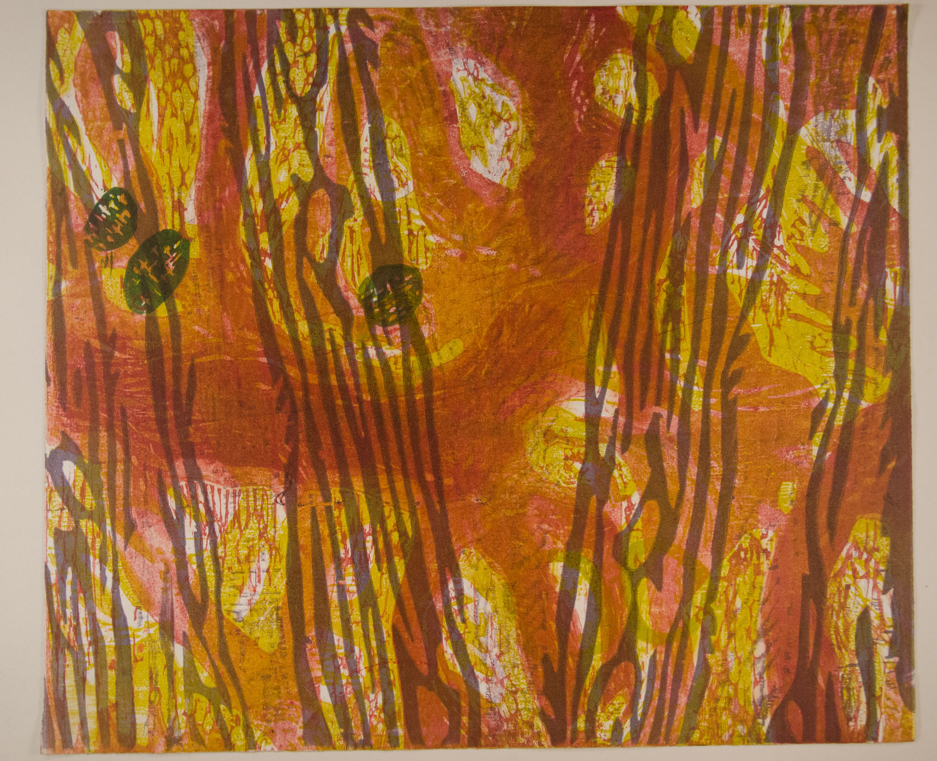 Redwoods 1