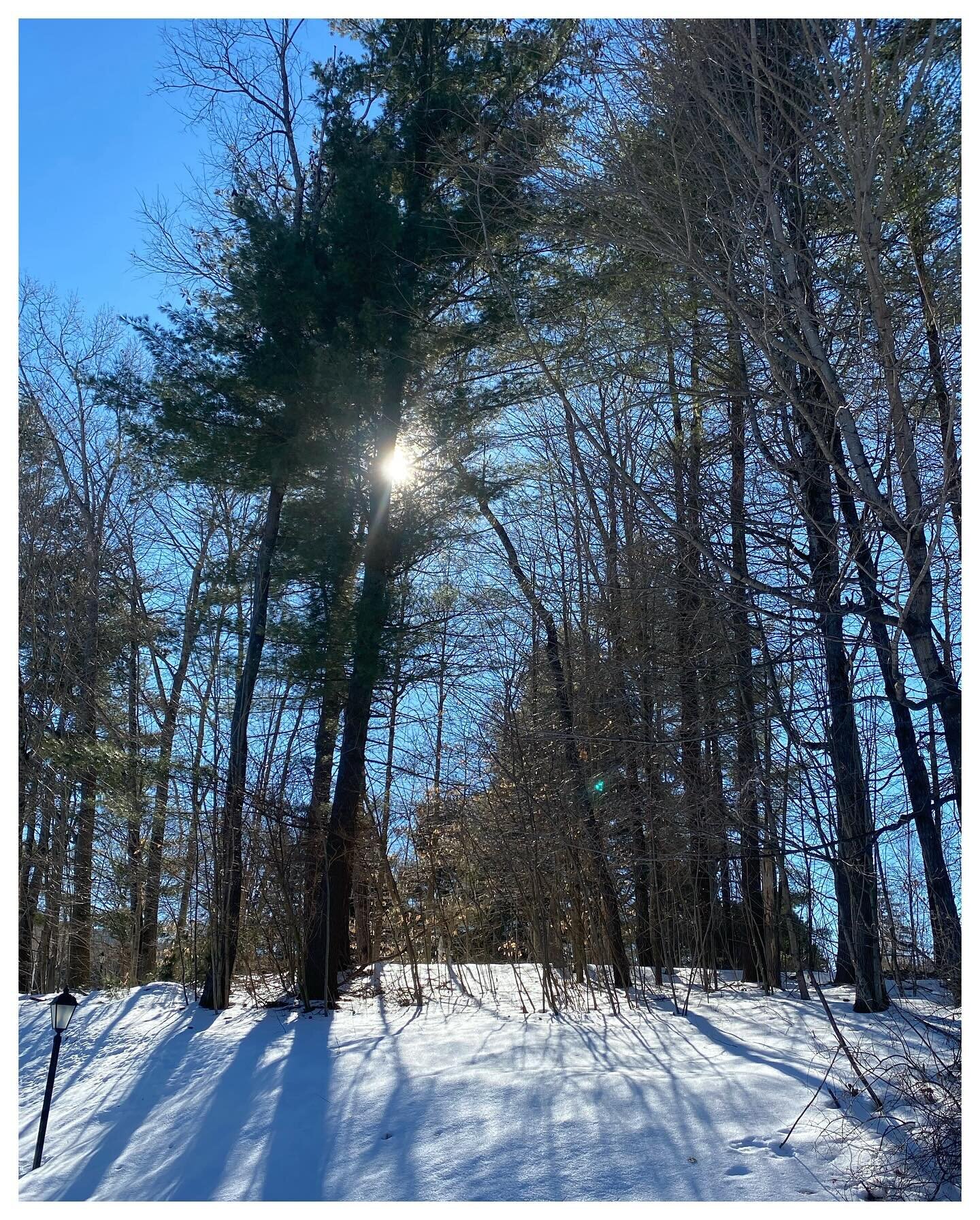 Vermont sun. #perfectday #vermont #winterwonderland #wintersun #ontheroad #winterlandscape