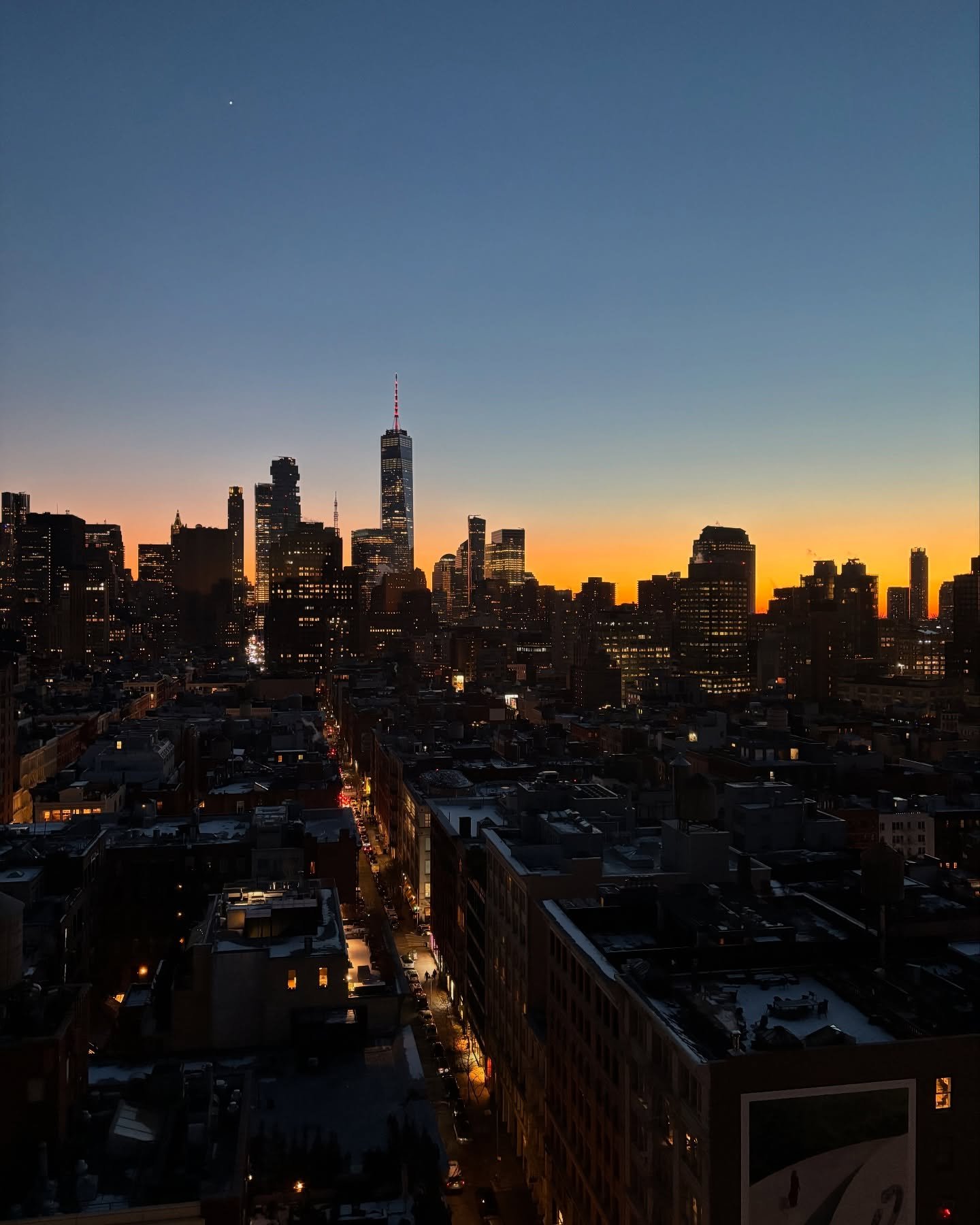 NYC you&rsquo;ve been sick.

My 5th time in NY but my first time as a mom. I got to go to the comedy cellar, to Dharma Mittra&rsquo;s class, to the Iyengar Yoga Institute of NY, to the American Museum of Natural History, met an oooold friend and ate 