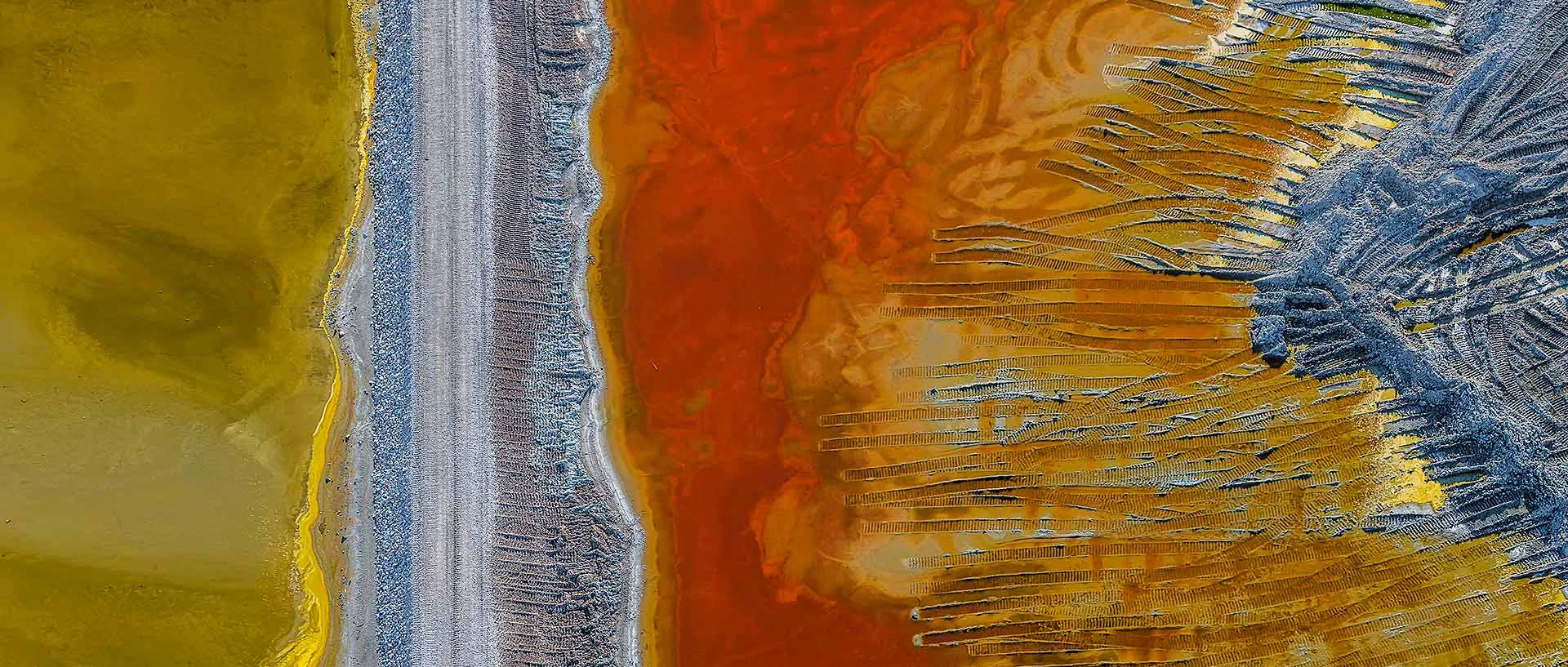 algae overhead.jpg