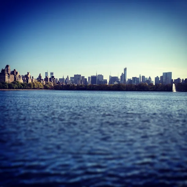 Central Park, 2013