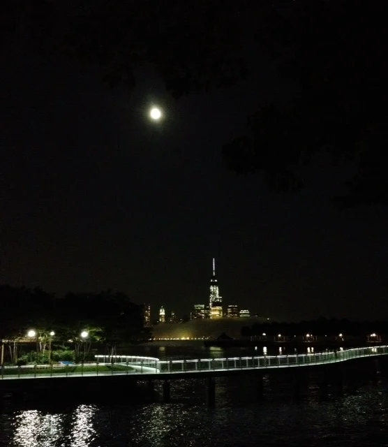 Freedom Tower, July 2014