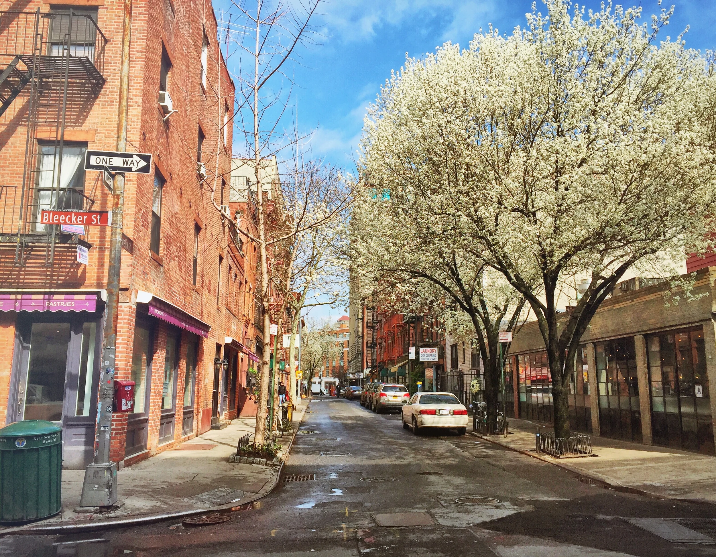 Bleecker and Cornelia