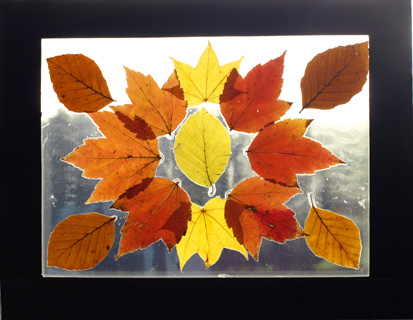 Leaf-Art1.jpg