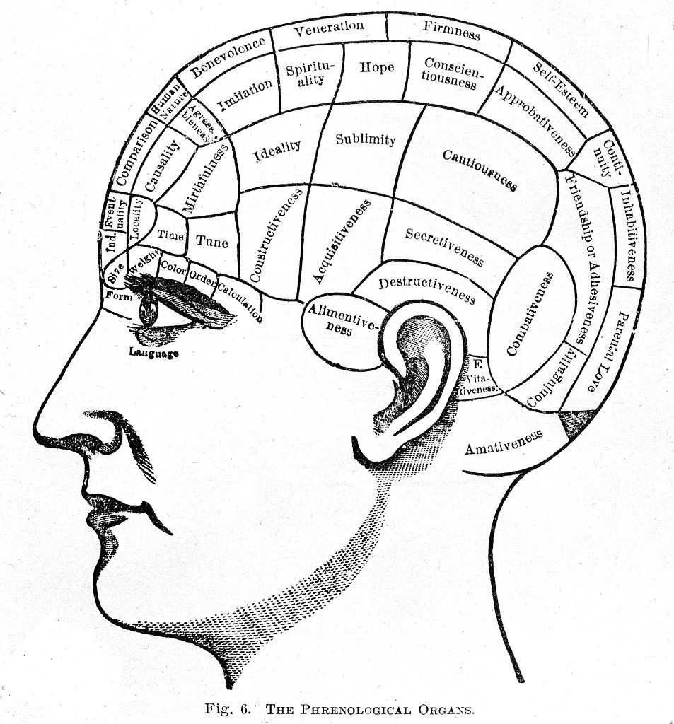 Where Does "Highbrow" Come From?