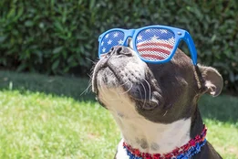 What the Heck is "Patriotism"?