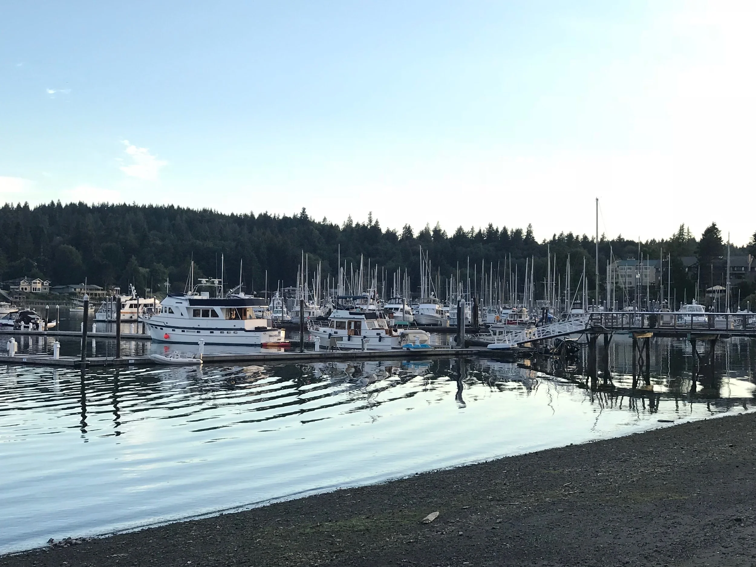 Exotic Aquatics operates a main retail location on Madison Avenue and provides kayak rentals at the City Dock.