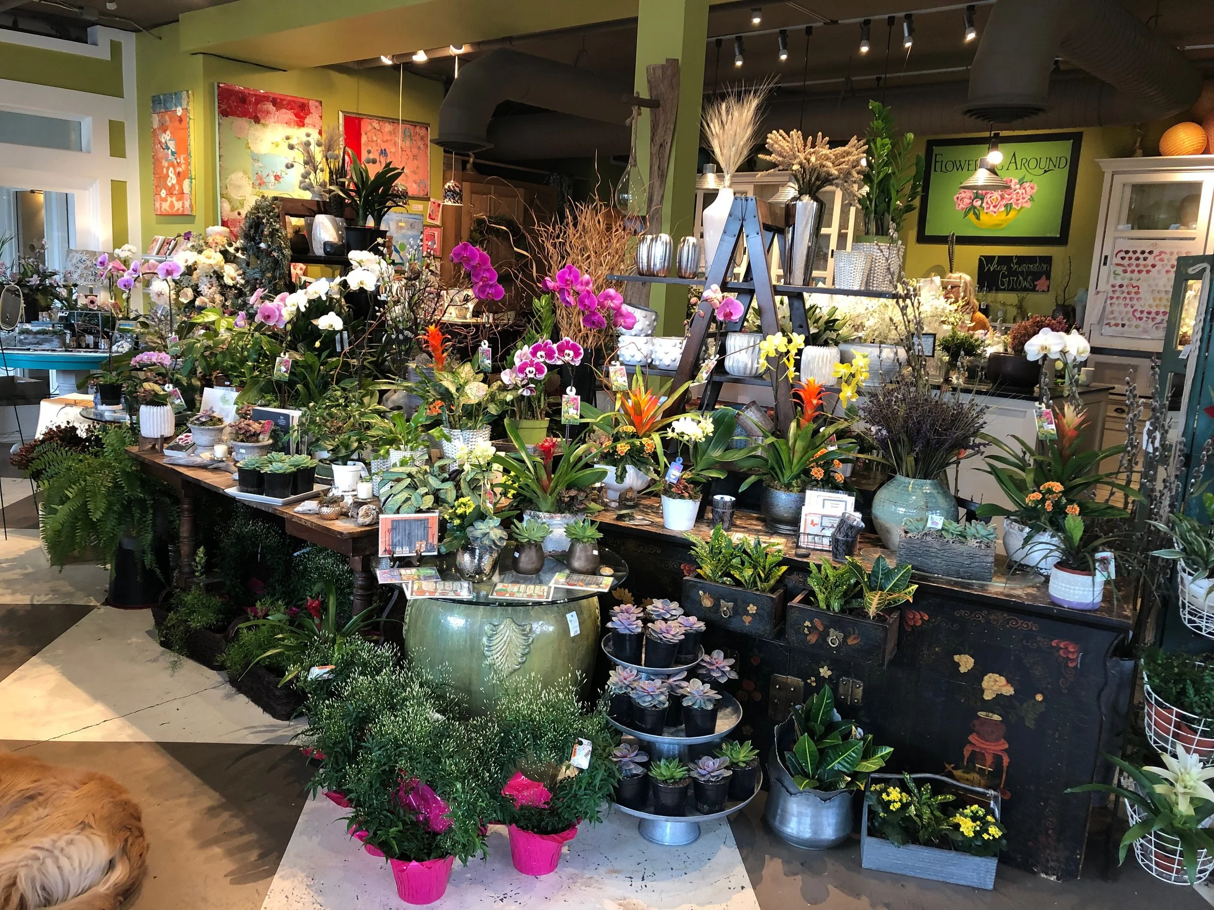 Floral.jpeg