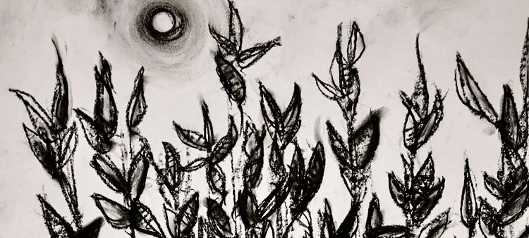 gallery-nature-banner.jpg